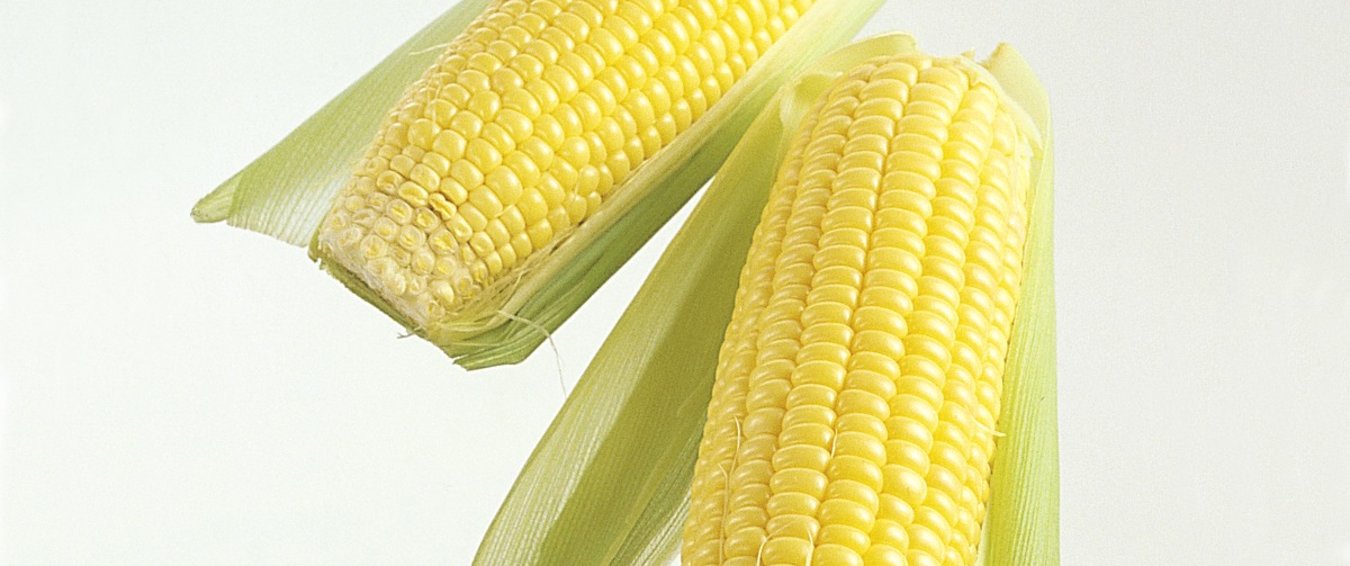 Maiskolbe næringsinnhold